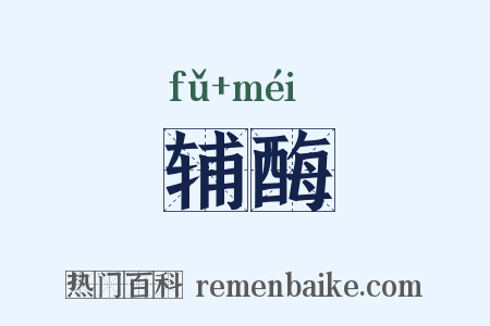 辅酶是什么意思的图片